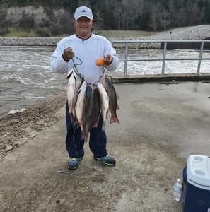 Meet your Posher, Johnny